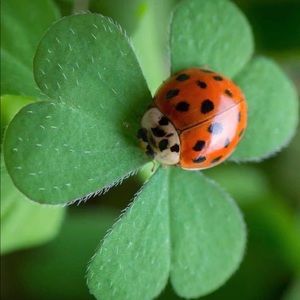 Meet your Posher, Karen